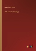 Cover: Text-book of Geology - Outlook Verlag