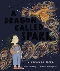 Cover: Dragon Called Spark - OUP Oxford