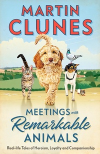 Enlarge image Cover: Meetings with Remarkable Animals - Penguin Random House UK