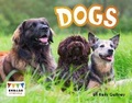 Cover: Dogs - Raintree