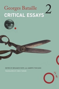 Enlarge image Cover: Critical Essays - Seagull Books London Ltd