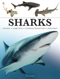 Enlarge image Cover: Sharks & Underwater Predators - Amber Books