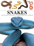Cover: Snakes - Amber Books