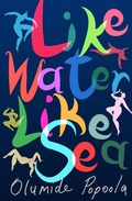 Cover: Like Water Like Sea - Cassava Republic Press