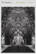 Cover: The Radiant - Tupelo Press, Incorporated