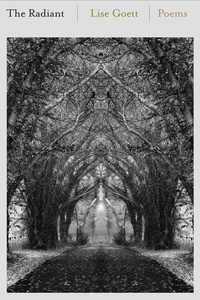 Enlarge image Cover: The Radiant - Tupelo Press, Incorporated