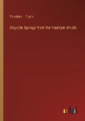 Cover: Wayside Springs from the Fountain of Life - Outlook Verlag
