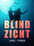 Cover: Blind zicht - Saga Egmont