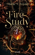 Cover: Fire Study - Reverie