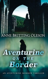 Enlarge image Cover: Aventurine on the Border - Encircle Publications, LLC