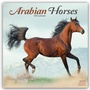 Bild: Arabians - Araber - Araber Pferde 2025 - 16-Monatskalender - Avonside Publishing Ltd