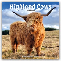 Abbildung von: Higland Cows - Hochland Rinder 2025 - 16-Monatskalender - Avonside Publishing Ltd