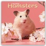 Bild: Hamsters - Hamster 2025 - 16-Monatskalender - Avonside Publishing Ltd