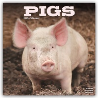 Abbildung von: Pigs - Schweine 2025 - 16-Monatskalender - Avonside Publishing Ltd
