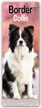 Cover: Border Collies 2025 - Avonside Publishing Ltd