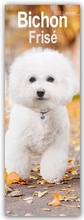 Cover: Bichon Fris&eacute; 2025 - Avonside Publishing Ltd