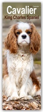 Cover: Cavalier King Charles Spaniels 2025 - Avonside Publishing Ltd