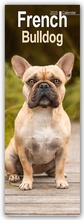 Cover: French Bulldog 2025 - Avonside Publishing Ltd