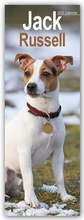 Cover: Jack Russell - Jack Russell Terrier 2025 - Avonside Publishing Ltd