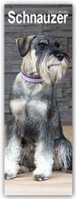 Cover: Schnauzer 2025 - Avonside Publishing Ltd