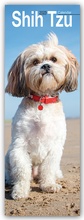Cover: Shih Tzu 2025 - Avonside Publishing Ltd