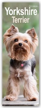 Cover: Yorkshire Terrier - Yorkies 2025 - Avonside Publishing Ltd