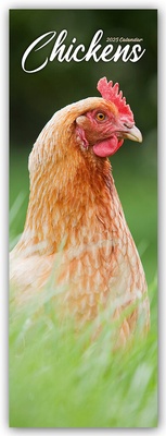 Abbildung von: Chickens - Hühner 2025 - Avonside Publishing Ltd