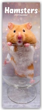 Cover: Hamsters - Hamster 2025 - Avonside Publishing Ltd