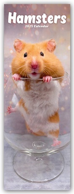 Abbildung von: Hamsters - Hamster 2025 - Avonside Publishing Ltd