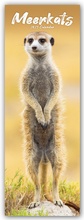 Cover: Meerkats - Erdm&auml;nnchen 2025 - Avonside Publishing Ltd