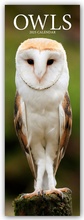 Cover: Owls - Eulen 2025 - Avonside Publishing Ltd