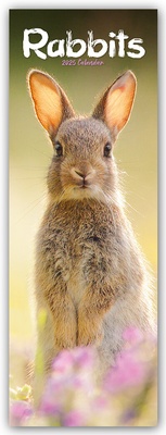 Abbildung von: Rabbits - Kaninchen 2025 - Avonside Publishing Ltd