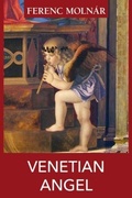 Cover: Venetian Angel - Blue Danube