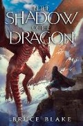 Cover: In the Shadow of the Dragon - Best Bitts Productions