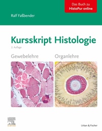 Abbildung von: Kursskript Histologie - Urban & Fischer