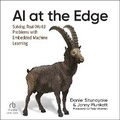 Cover: AI at the Edge - Ascent Audio