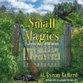 Cover: Small Magics - Tantor Audio