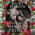 Cover: Bound to the Shadow Prince - Tantor Audio