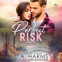 Enlarge image Cover: Perfect Risk - Tantor Audio