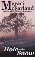 Cover: A Hole in the Snow - MDR Publishing