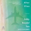 Cover: After Elias - Tantor Audio