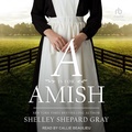 Cover: A is for Amish - Tantor Audio