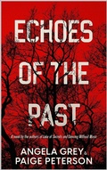 Cover: Echoes of the Past (Echoes in the North Country, #1) - Shady Oak Press