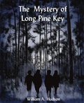 Cover: The Mystery of Long Pine Key - The Little French's Media LLC