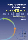 Cover: Molecular Biology LabFax: Volume 1 - Academic Press