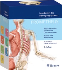 Abbildung von: PROMETHEUS LernKarten des Bewegungssystems - Thieme