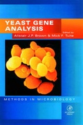 Cover: Yeast Gene Analysis: Volume 26 - Academic Press
