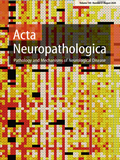 Abbildung von: Acta Neuropathologica - Springer