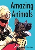 Cover: Amazing Animals (Set 11) - Scholastic