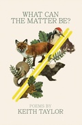 Cover: What Can the Matter Be? - Wayne State University Press